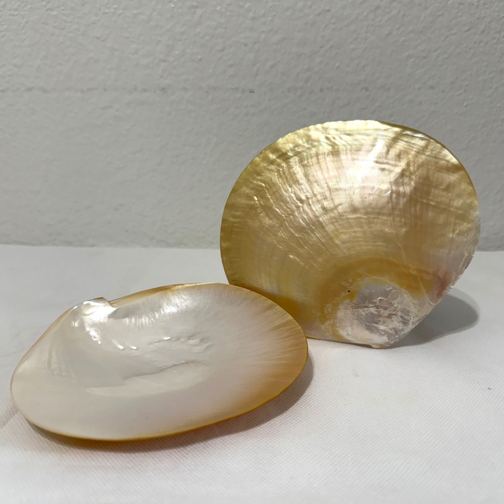 Vintage Pair Mother of Pearl Shell Plate Dish Iridescent Gold Coastal MCM Deco